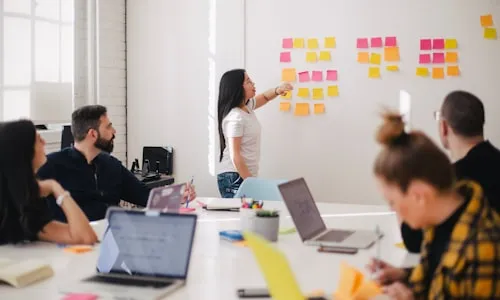 Business Portal Development